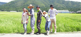 amg-no05-shigakohoku-thumb-wi
