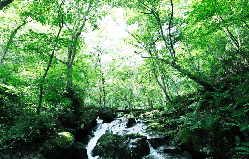 飛騨地方の珍しい郷土食って? 外国人観光客をも惹きつける高山市の注目スポットと食文化|あなたはなぜ飛騨を好きになったのですか?