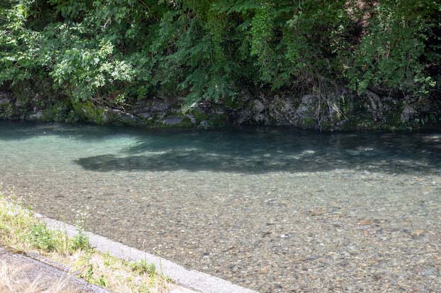 小崎川流れるプールキャンプ場