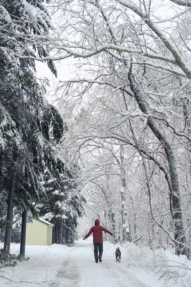 奥さんと愛犬と家路につく。國分さんの幸せが詰まった一枚。（写真提供：Tomoki Kokubun）